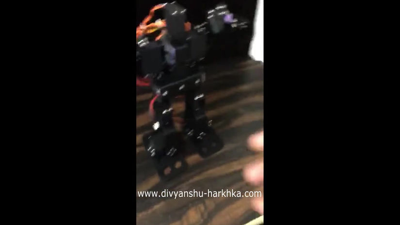 Humanoid Movements